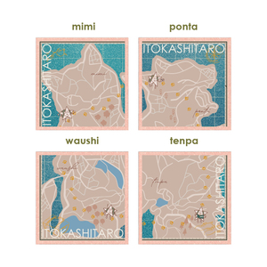 CAT MAP アクリル色紙